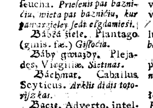 Словарь Ширвида 1620 г. Слово gyslocia